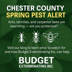 Chester county pest